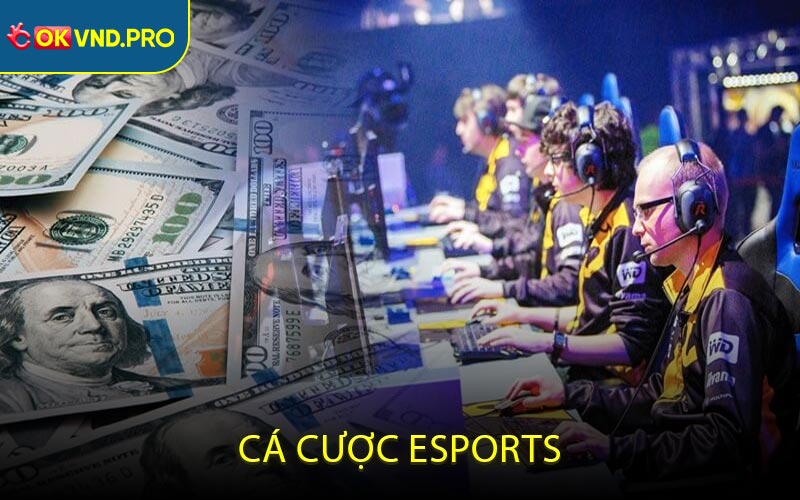 Cá Cược eSports